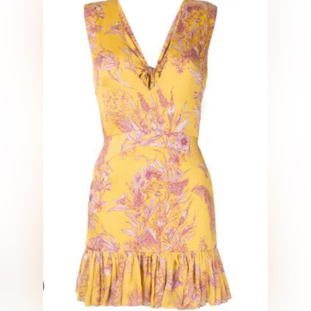 ALEXIS cassara mini dress